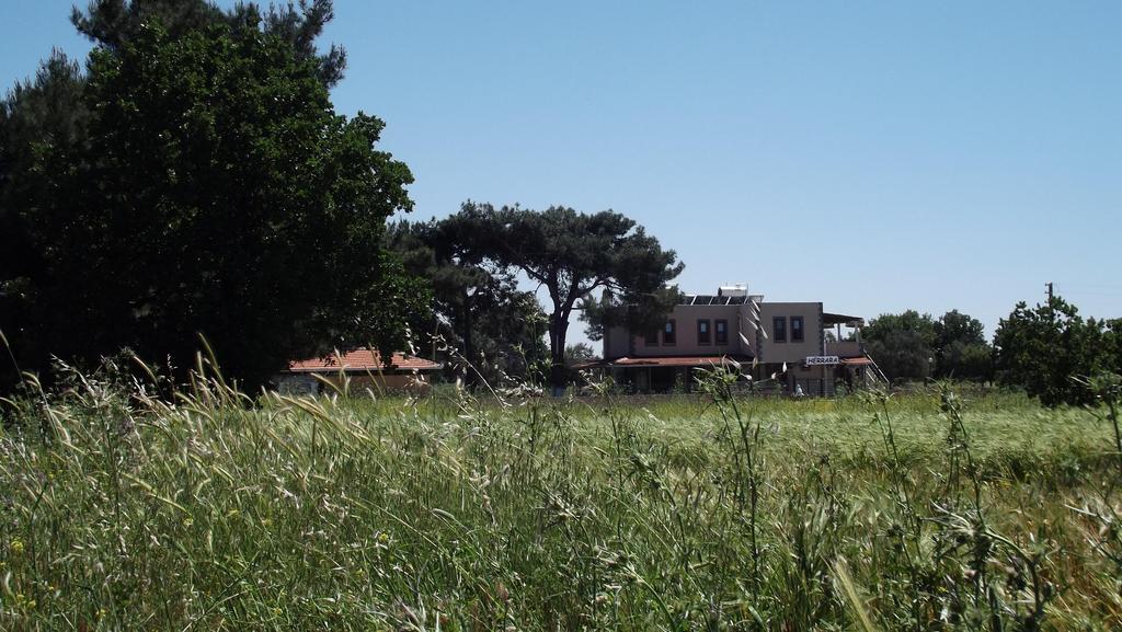 Geyikli Herrara Bagian luar foto