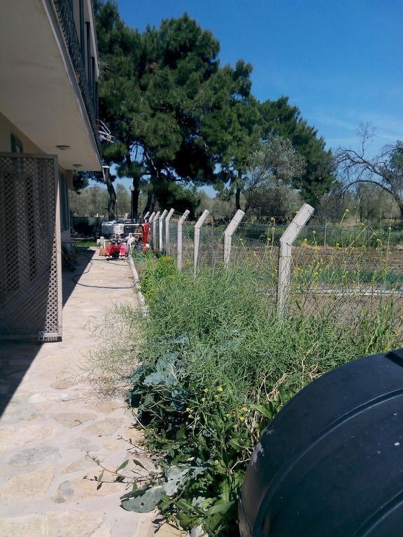 Geyikli Herrara Bagian luar foto