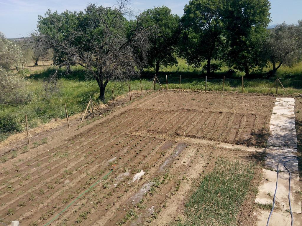 Geyikli Herrara Bagian luar foto